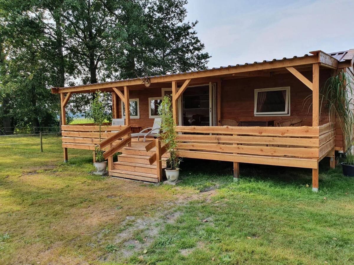 דירות Vriescheloo Tiny House Het Reebokje מראה חיצוני תמונה