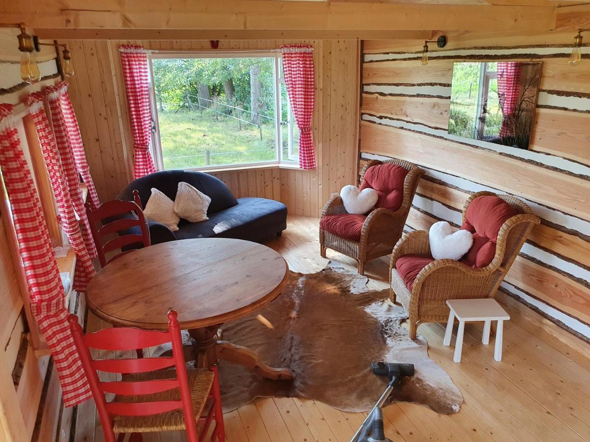 דירות Vriescheloo Tiny House Het Reebokje מראה חיצוני תמונה