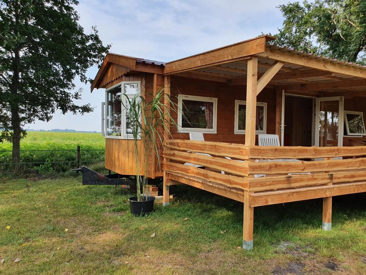 דירות Vriescheloo Tiny House Het Reebokje מראה חיצוני תמונה