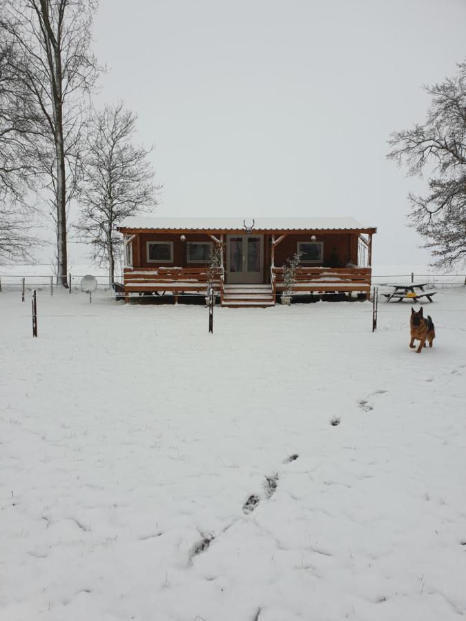 דירות Vriescheloo Tiny House Het Reebokje מראה חיצוני תמונה
