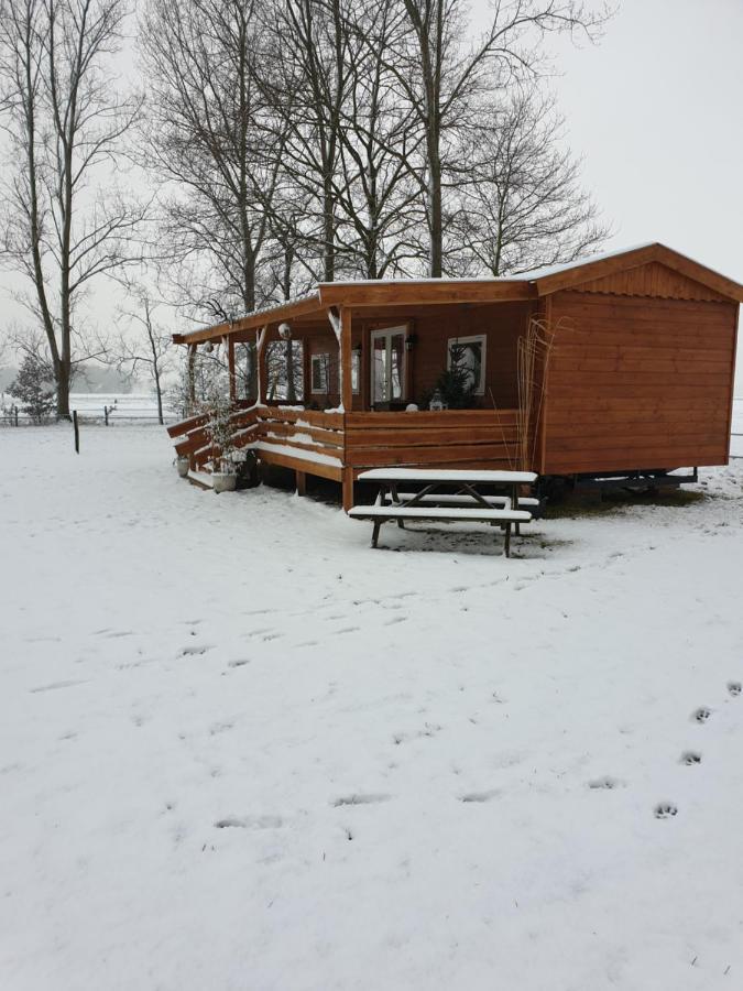 דירות Vriescheloo Tiny House Het Reebokje מראה חיצוני תמונה