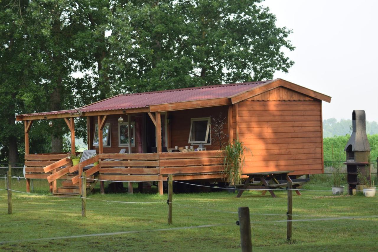 דירות Vriescheloo Tiny House Het Reebokje מראה חיצוני תמונה