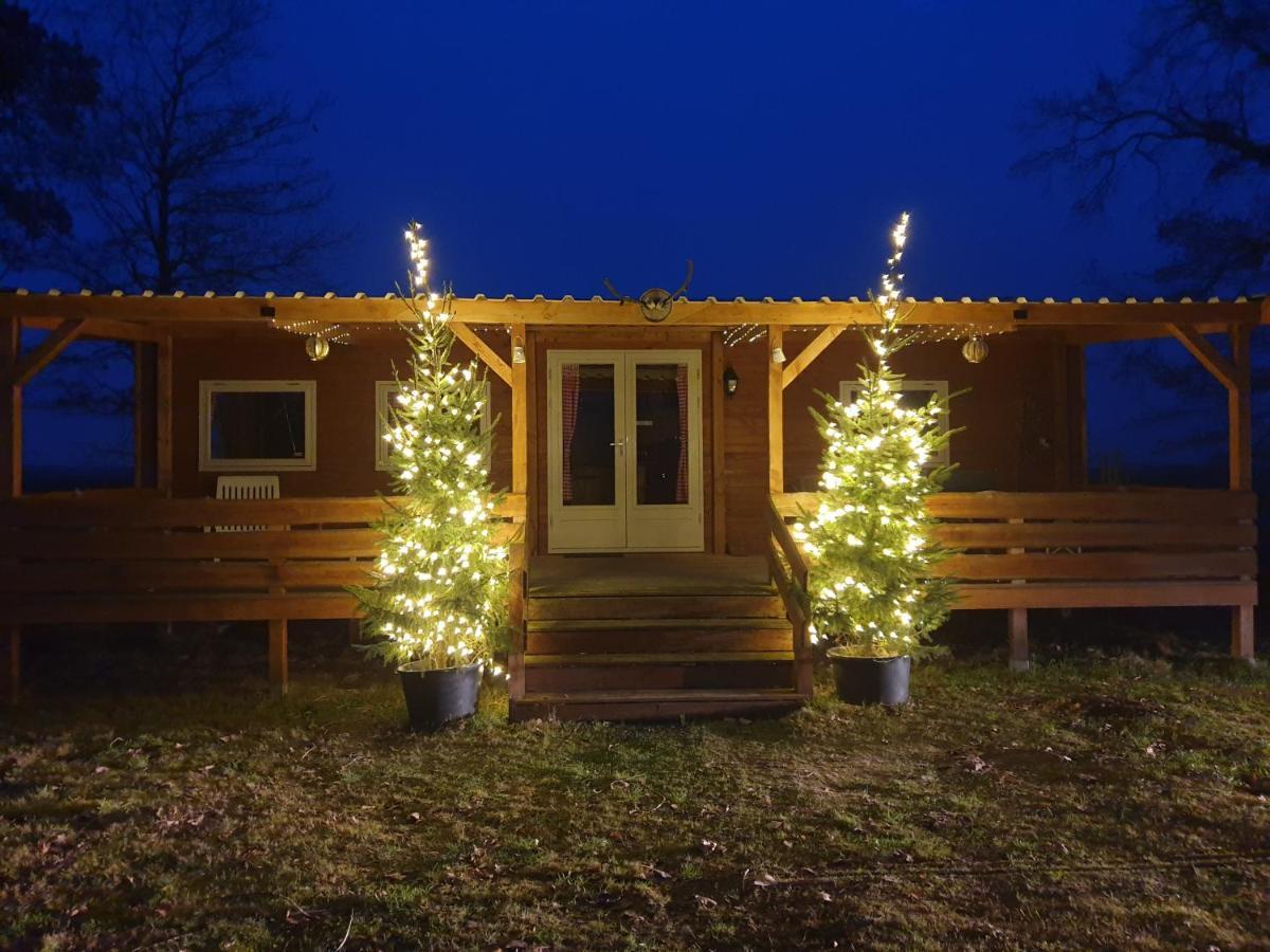 דירות Vriescheloo Tiny House Het Reebokje מראה חיצוני תמונה